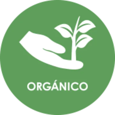 Orgánico